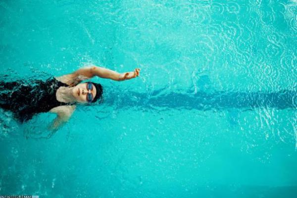 体育类培训资格目录详解